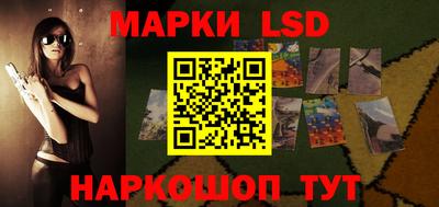 jwh Бийск