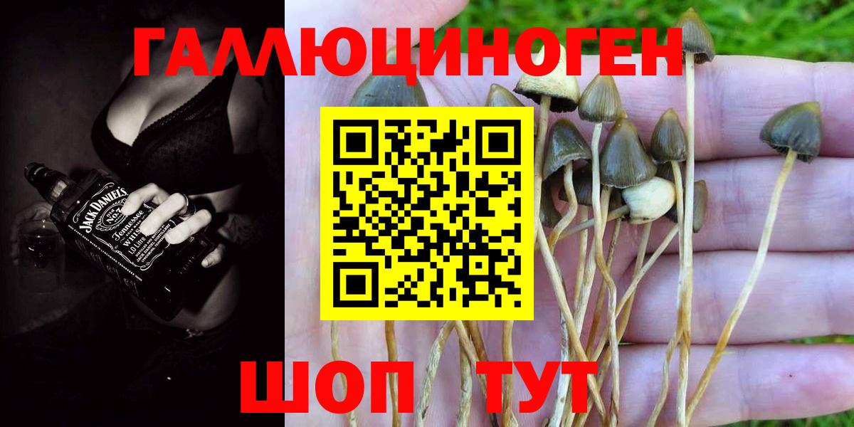 Псилоцибиновые грибы MAGIC MUSHROOMS  Псилоцибиновые грибы MAGIC MUSHROOMS  Вход с VPN  Казань 